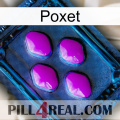 Poxet 04